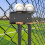 Baseball Bat Rack Wall Mount Baseball Bat Holder for Baseball 5