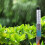 Rain Gauges set Rain Meter for Accurate Precipitation 4