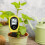 Stable Soil Moisture Reader Accurate Soil Moisture Measurement 7
