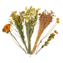 Natural Hamster Bedding Flowers Herbs - Dried Floral Bedding for Hamsters, Chinchillas, and Squirrels, Eco-Friendly Habitat Decor
