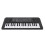 Teclado infantil de 37 teclas 16.1x5.9in Micrófono USB/3xAA 16