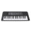 Teclado infantil de 37 teclas 16.1x5.9in Micrófono USB/3xAA 15