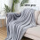 Polyester Blanket Cozy Bedding Blanket 47x78 Inches Solid Silver Gray All-Purpose Soft Warm Throw Blanket 2