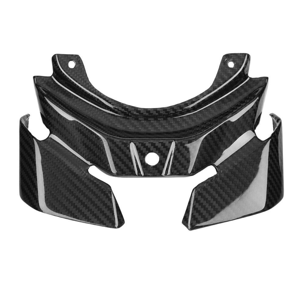Motorcycle Accessories Carbon Fiber Rear Taillight 8320539088563