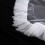 Exquisites Lace Veil without Comb Stylish Temperament Veils 4