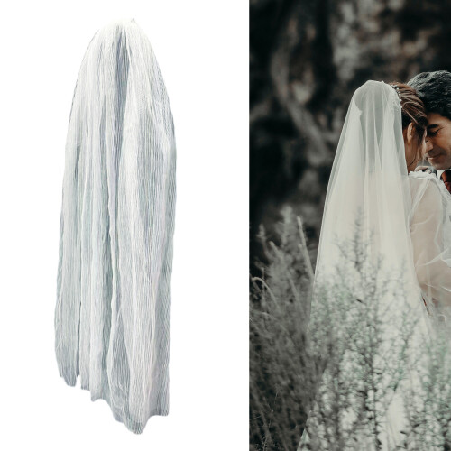 Captivating Cathedral Length Veil with Lace Accents 1