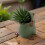 Unique Succulent Planter Moulds Silicone Concrete Mould Frogs 5