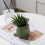 Unique Succulent Planter Moulds Silicone Concrete Mould Frogs 4