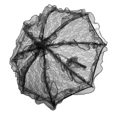 Schwarzer Spitzen-Parasol - 60 x 56,5 cm, 1 Stück