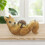 Tape Cutting Base Packaging Tape Cutter Squirrels Tape Dispenser 6