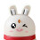Distributeur de cure-dents mignon Lapin Blanc 4,23 oz 10