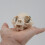 Cats Head Anatomy Model Realistic Cats Head Skeleton Model 6