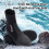 Neoprene Dive Boots Anti-slip Surf Booties Scuba 7