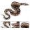 Large Realistic Rubber Snake, Prank Snake Toy 2