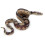 Large Realistic Rubber Snake, Prank Snake Toy 13