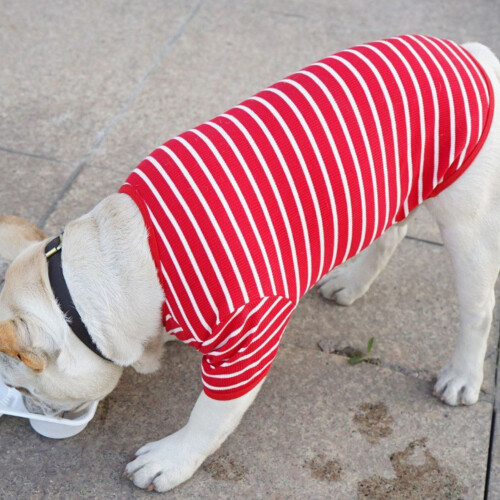 Camiseta para perro de algodón a rayas talla S transpirable 2