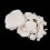 / Dehydrated and Thick Pulp for Paper Making Papermaking Paper 2025 2