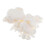 / Dehydrated and Thick Pulp for Paper Making Papermaking Paper 2025 4