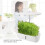 Indoor Hydroponic Planter with LED Light 12-Pod Auto Water System 6
