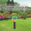Mole Repeller Solar Powered Sonic Mole Deterrent 2