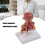 Human Rectum Model Pathologies of Rectum Model School Teaching 2