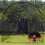 Training Baseball Pitching Backstop Wear Resistant Baseball 4