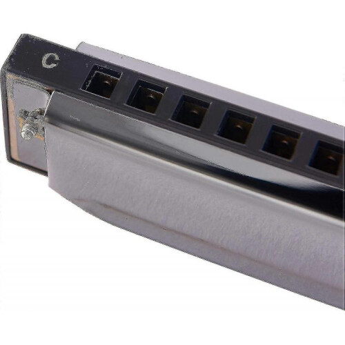 10 Hole 20 Harmonica Blues Deluxe Harmonica Beginner C Harmonica - Black 1