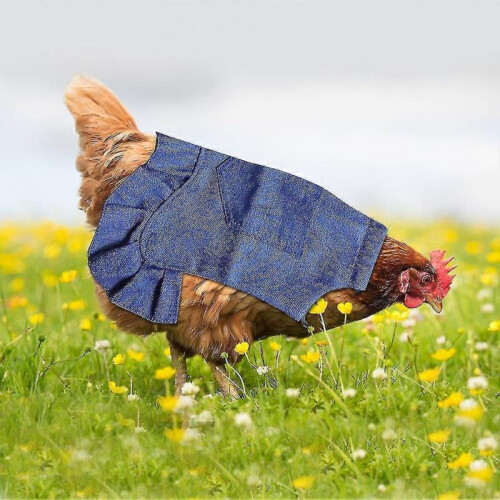 5pcs Wing Protection Denim Apron Keep Warm Mating Farm Chicken Saddle for Hen 1
