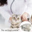 Cats Teeth Model Clear Animal Teeth Anatomy Models for 2
