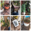 Garden Smart Automatic Watering Device Solar Charging 19