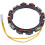 Lawn Tractor Charging Coil Lawn Tractor Replacement Part for 4