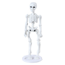 Fully Body Human Skeleton Miniature Toy Collectible Halloween