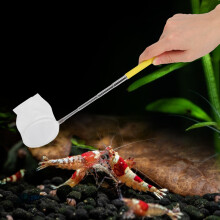 Gelber runder Fischfangnetz 10cm Edelstahl Aquarium Garnelen ausziehbar