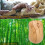 2.4G Wireless Optical Bamboo Mouse 3 Adjustable 5