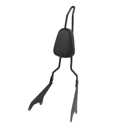Detachable Rear Passenger Backrest Bar with 1
