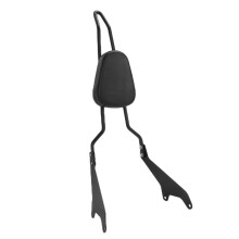 Detachable Rear Passenger Backrest Bar with