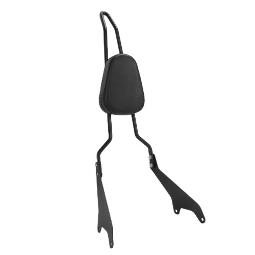 Detachable Rear Passenger Backrest Bar with
