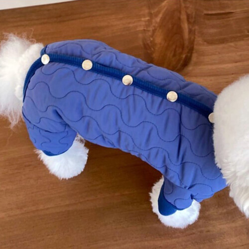 4-beinige Winter-Hundejacke, gefüttert, blau, Größe M 2