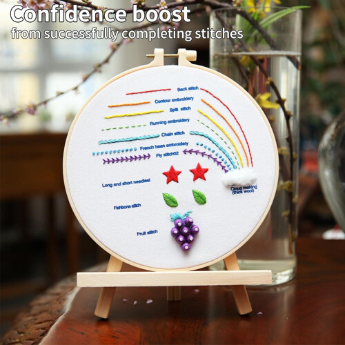 Classic Stitch Practice Embroidery Kit for Adults Beginners with Patterns Video Tutorial Instruction Booklet Craft Supplies 1