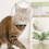 Cat Muzzle | Breathable Transparent Cat Muzzle with 46 Holes | Anti-Bite Protective Cover for Chewing and Licking 2