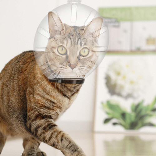 Cat Muzzle | Breathable Transparent Cat Muzzle with 46 Holes | Anti-Bite Protective Cover for Chewing and Licking 1