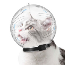 Cat Muzzle | Breathable Transparent Cat Muzzle with 46 Holes | Anti-Bite Protective Cover for Chewing and Licking