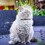 Cat Muzzle | Breathable Transparent Cat Muzzle with 46 Holes | Anti-Bite Protective Cover for Chewing and Licking 3