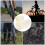 2PCS High Polymer Polyurethane Bike Frame Protector Stickers 80x1500mm 11