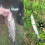 5pcs Fishing Lure Set Offshore Angling Trolling 3