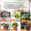 Professional Soil Condition Moisture Sunlight Detection 6