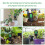Professional Soil Condition Moisture Sunlight Detection 7