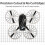 Sticker Set for Flip RC N3 Colorful Decorative Stickers B 3