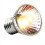 5PCS UVA+UVB Reptile Heating Light Bulb Basking UV Light Bulbs 75W 6