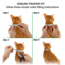 Natürliches Öl-Halsband für Hunde & Katzen – Vertreibt Zecken, Flöhe & Mücken
